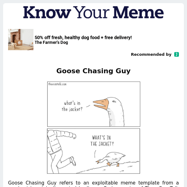 Goose Chasing Guy