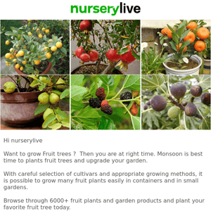 🌻🧑‍🌾 Like Fruit Garden? 6000+ fruit plants @20% Off, Nurserylive