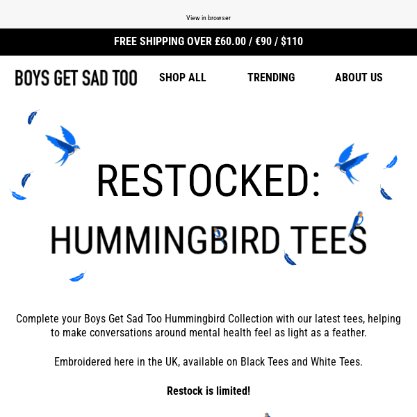 HAVE YOU GOT YOUR HUMMINGBIRD TEE?💙