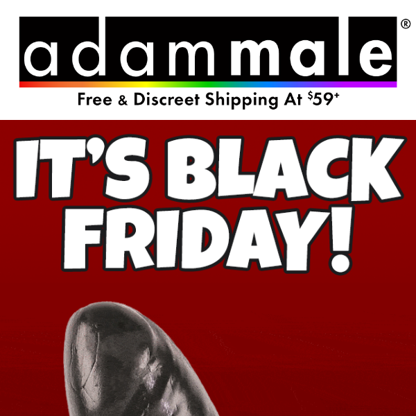 Black Friday Exclusive!