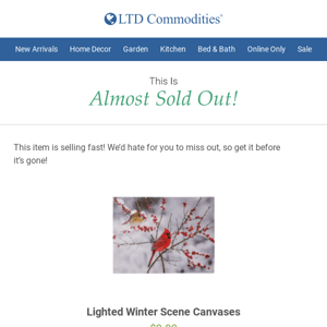 We're Getting Low On Lighted Winter Scene Canvases