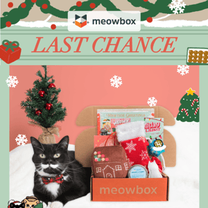 Last call to get your box in time for Catmas! 🎁