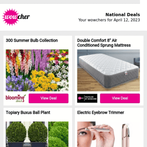 300 Summer Bulb Collection | Double Comfort 8" Air Conditioned Sprung Mattress | Topiary Buxus Ball Plant | Electric Eyebrow Trimmer  | Next Gen Wireless Bluetooth Earbuds