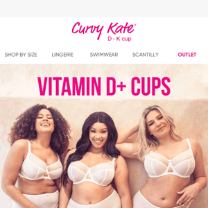 Curvy Kate Frill Me Balcony Bodysuit Black Pink – Curvy Kate CA