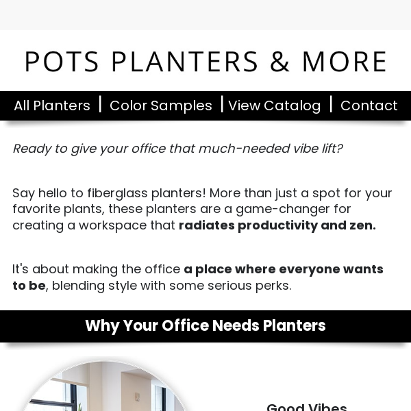 🌿 Designing Your Dream Office: The Impact of Planters