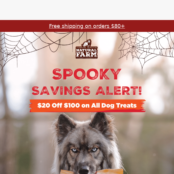 $20 Off $100+ Halloween Dog Treats 🎃