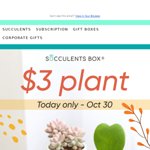 Save Big! $3 Plants Today
