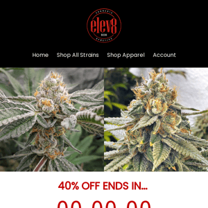 🔴 40% OFF - ONLY A FEW HOURS LEFT 🔴