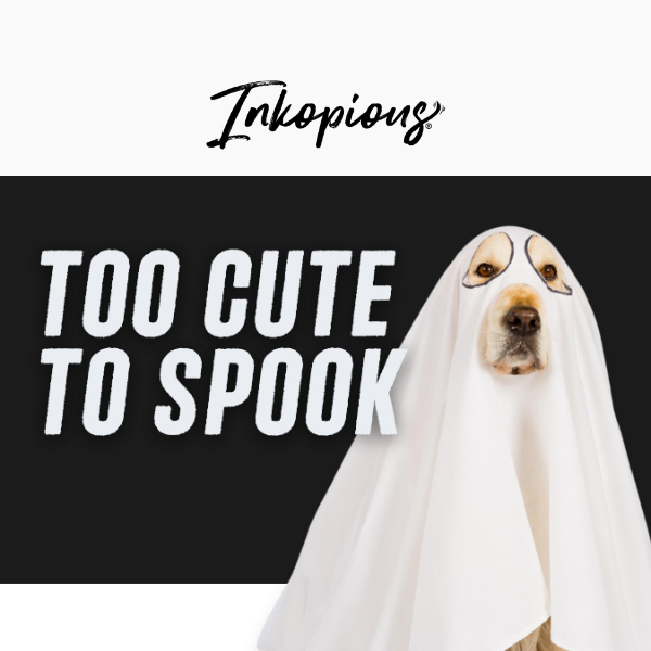 4 Spooky-Fun Last-Minute Pup Costumes 🐶👻