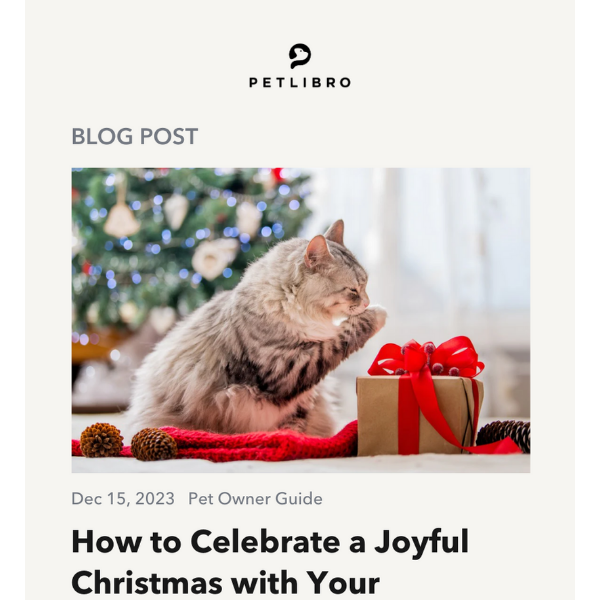 🐈🎄How to have a pet-friendly Christmas?