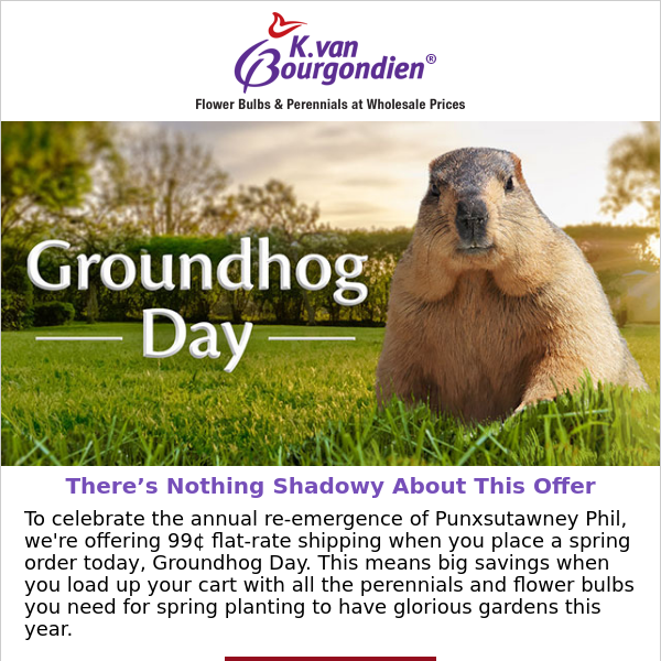 BREAKING: Groundhog predicts great delivery deal!