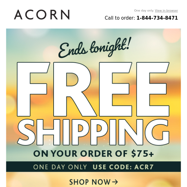 Free Shipping Today ONLY