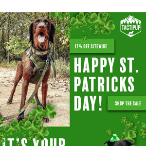 The paw-ty is still going! Save for St. Paddys