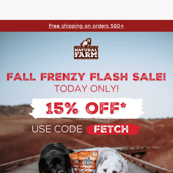 FLASH SALE! 15% Off Fall Treats 🐾