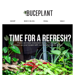 Plant restock + Win Algae Control for your tank! 🌱