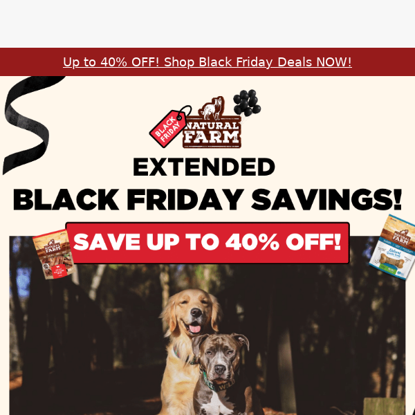 Save 40%: Extended Black Friday Sale!