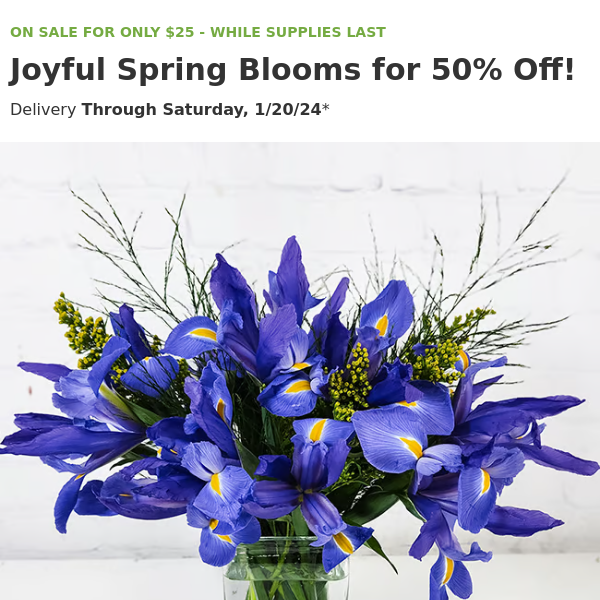 Exclusive Offer 💐 $25 Iris Special Bouquet!