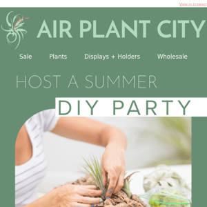 Host a DIY party with Cork Bark Tillandsia Displays ✨