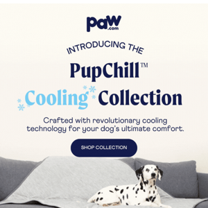 Introducing the PupChill™ Cooling Bed & Blanket ❄️