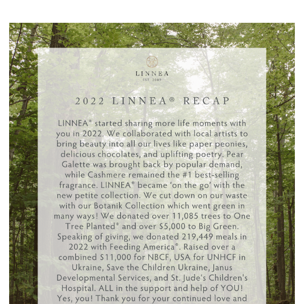 A look back on LINNEA®