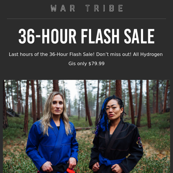 ⏰ Last Hours of the FLASH SALE! ⚡