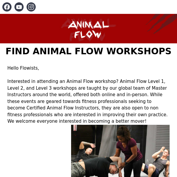 Find Animal Flow Workshops