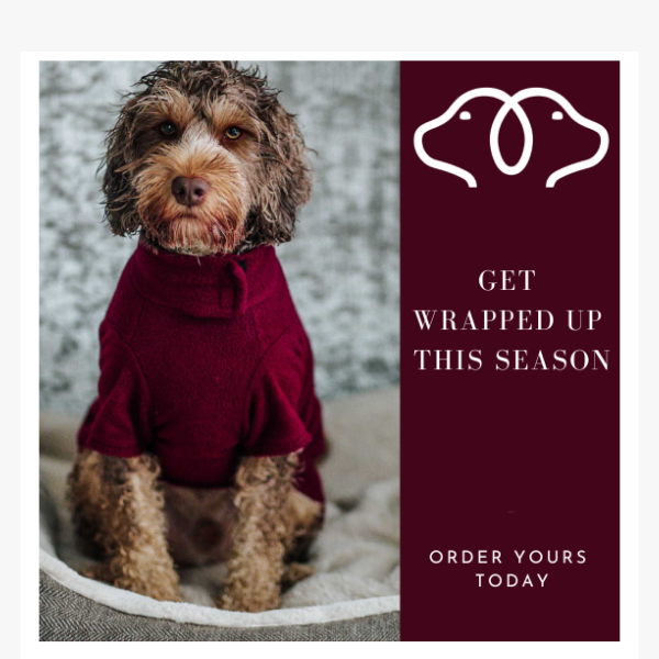 Get wrapped up this season 🐾