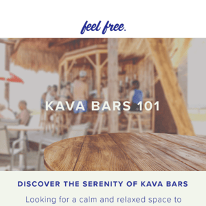 Curious about kava bars?