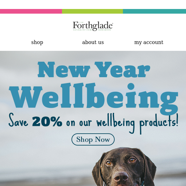 Last Chance⏰20% OFF wellbeing products