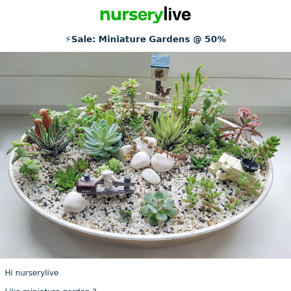 👨‍🌾🌿 Want Miniature Succulent Garden @50% ? Nurserylive