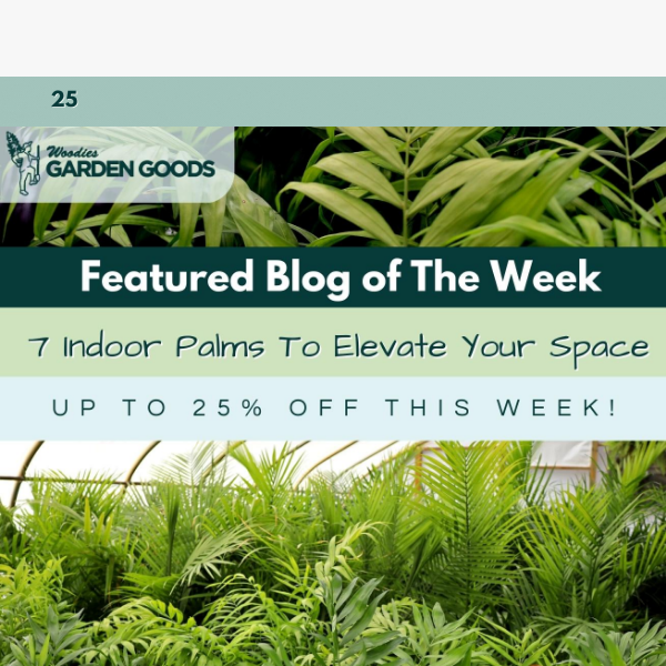 Indoor Palms To Elevate Your Space!🌴 Plus, Sitewide Savings!