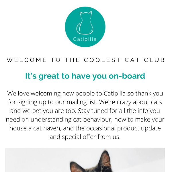 Welcome to Our Cat Club | Catipilla