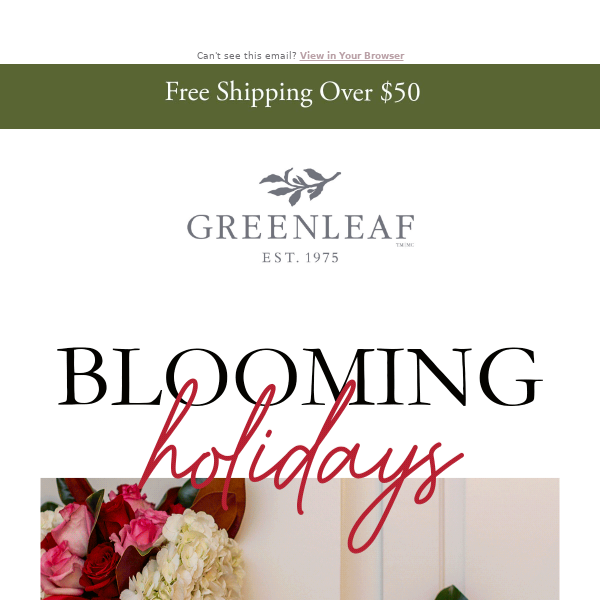 It's (almost) last chance for Greenleaf Holiday! 🎄