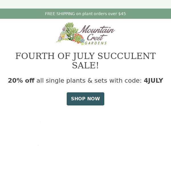 Fourth of July Succulent Sale! 🌵