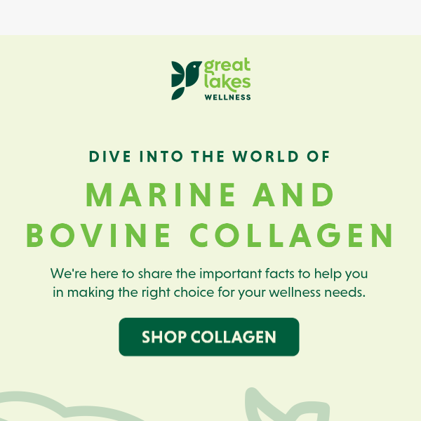 Marine or Bovine Collagen?