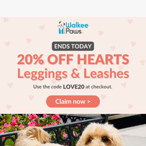 Last chance for 20% off ❤️ leggings & leash!