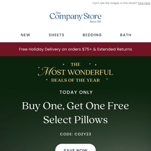 📅 One Day Only!! BOGO Free Pillows