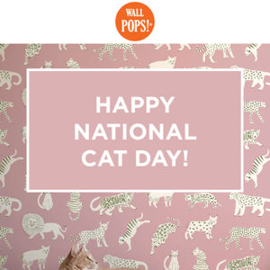 Happy National Cat Day!