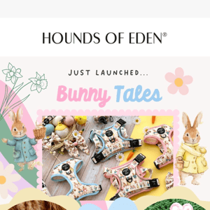 NEW! 'Bunny Tales' is now LIVE!🐰
