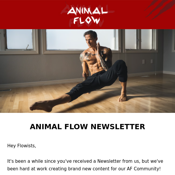 Animal Flow Newsletter