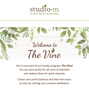 Welcome to The Vine