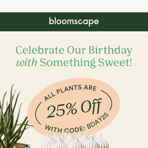 It's our birthday! Take 25% off all plants 🎉🍰🌿