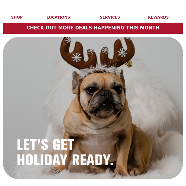 Is your pet ready for the holidays?