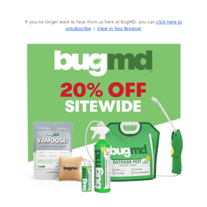 BugMD, here’s your 20% winter discount