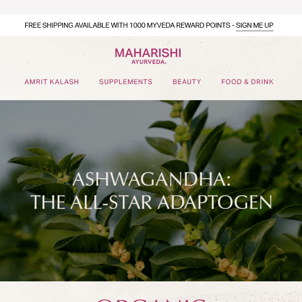 🟣 25% OFF Ashwagandha | The All-Star Adaptogen 🟣