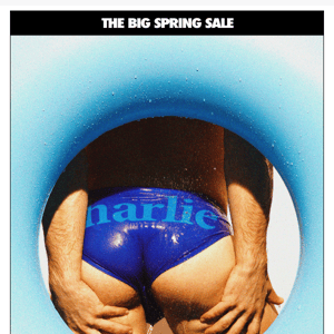 LAST CHANCE for The Big Spring Sale