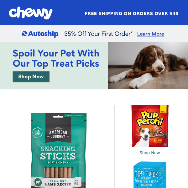 Top Treat Picks for Your Pet