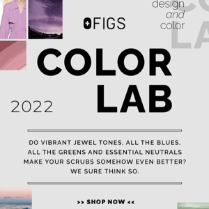 THE FIGS COLOR LAB