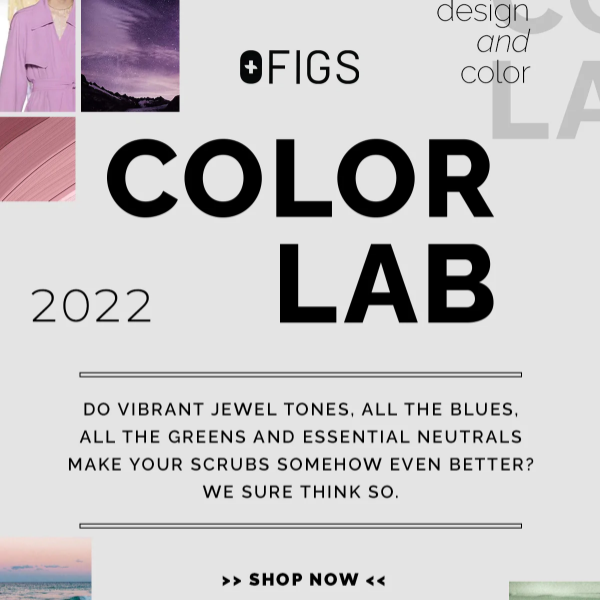 THE FIGS COLOR LAB Figs