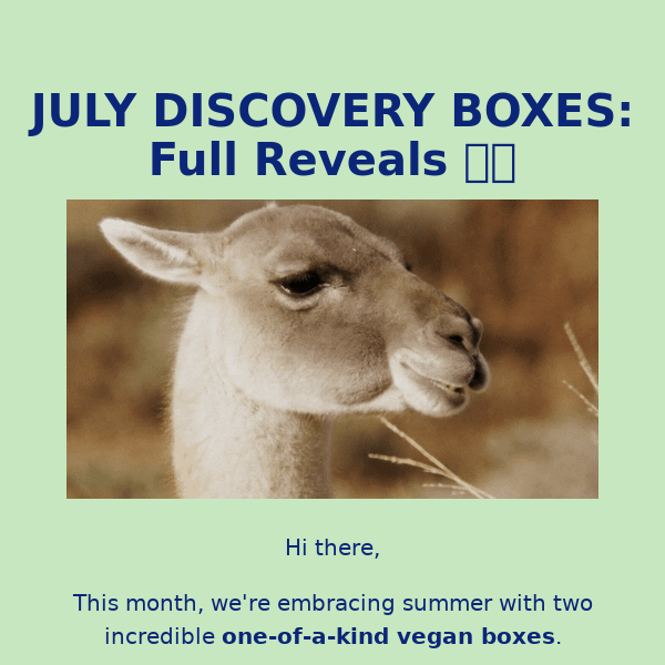 July Vegan Boxes: Full Reveals ☀️